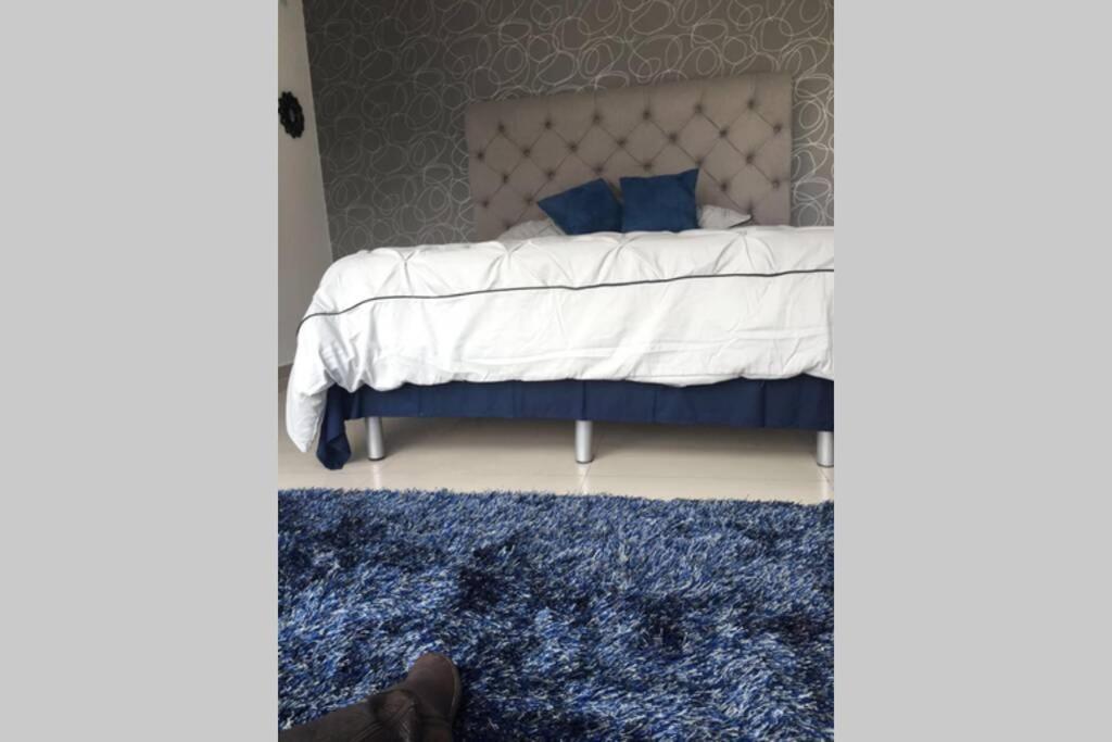 メキシコシティEspectacular Loft En Ph Zona Polanco Dアパートメント エクステリア 写真